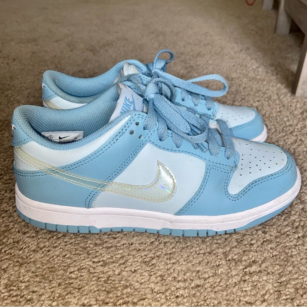 Low-top Nike Dunks (kids 4.5/womens 6) irredentist swoosh